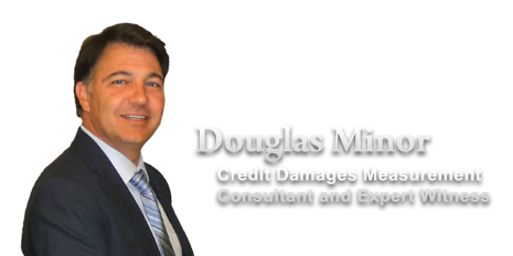 Doug Minor Credit Expert Witness